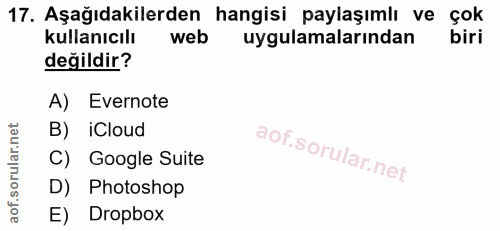 Soru 17