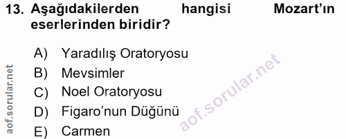 Soru 13