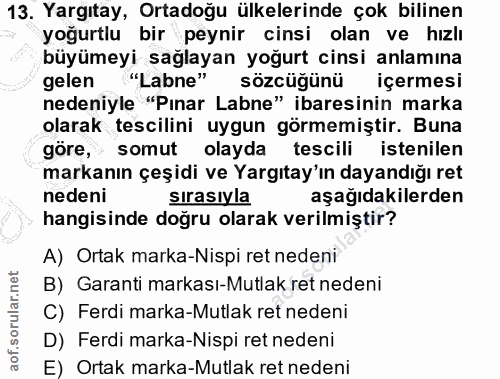 Soru 13