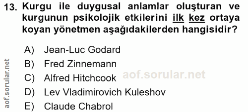 Soru 13