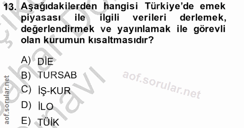 Soru 13