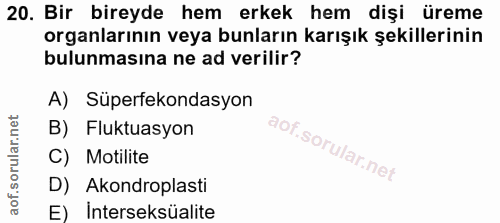 Soru 20