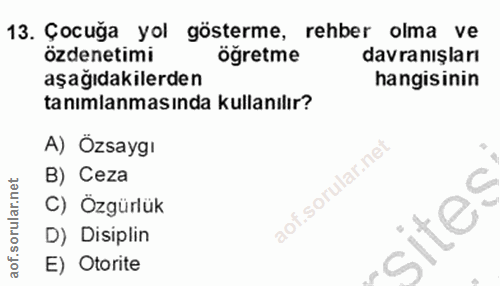 Soru 13