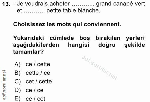 Soru 13