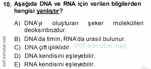 Soru 10