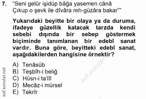 Soru 7