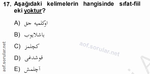 Soru 17