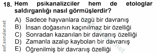 Soru 18