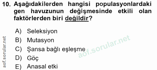 Soru 10
