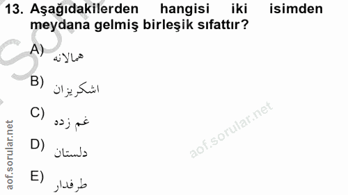 Soru 13