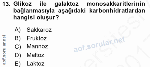 Soru 13