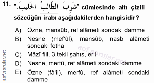 Soru 11