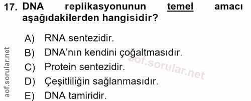 Soru 17