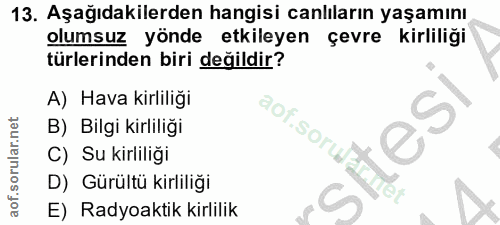 Soru 13