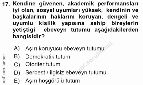 Soru 17