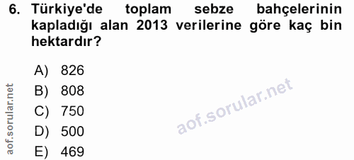 Soru 6