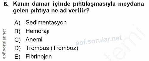 Soru 6