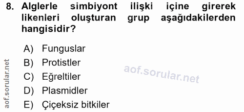 Soru 8