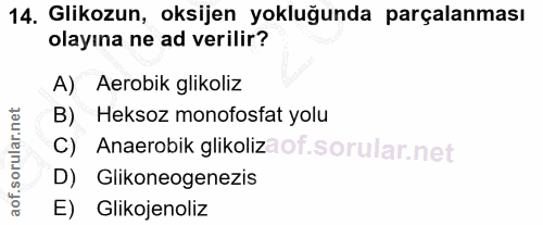 Soru 14