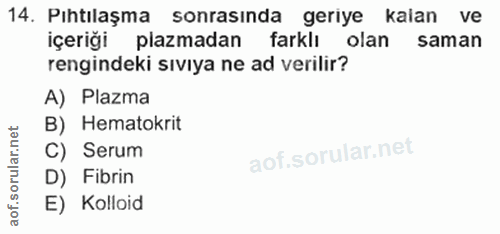 Soru 14