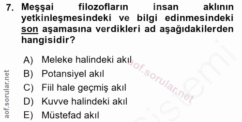Soru 7