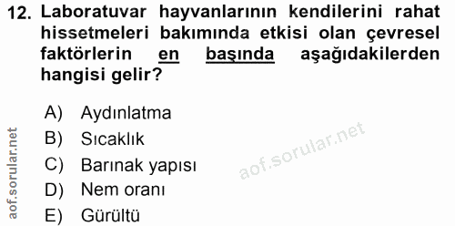 Soru 12