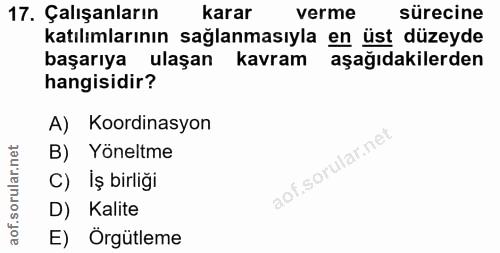 Soru 17