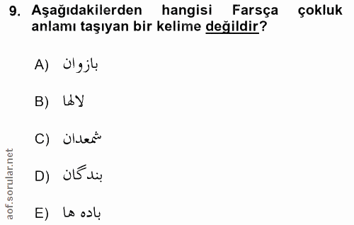 Soru 9