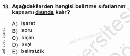 Soru 13