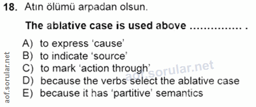 Soru 18