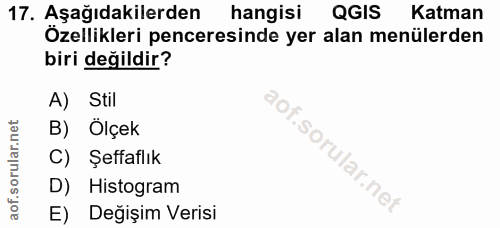 Soru 17