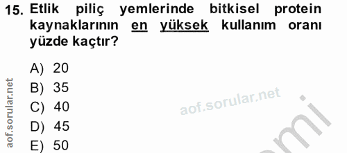 Soru 15