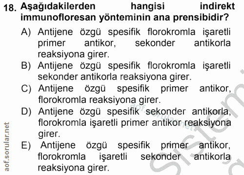 Soru 18