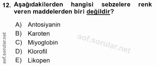 Soru 12