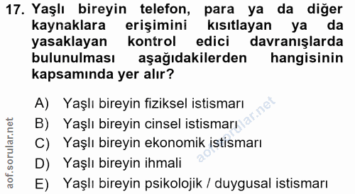 Soru 17