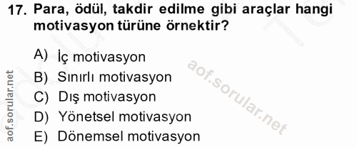 Soru 17