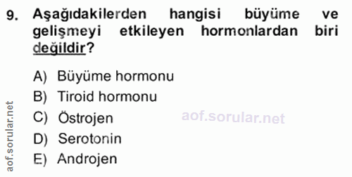Soru 9
