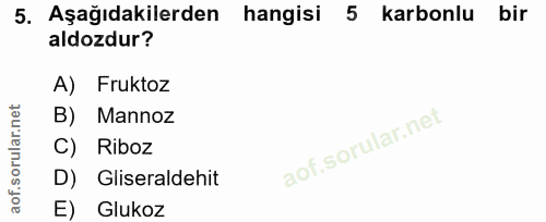 Soru 5