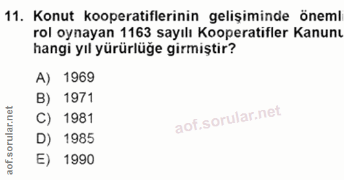 Soru 11