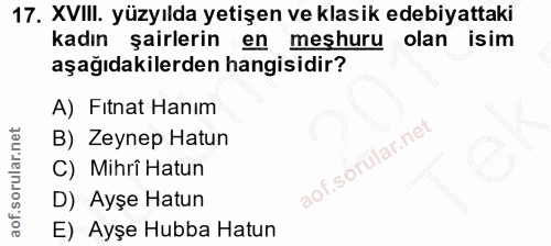 Soru 17