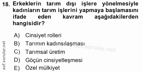 Soru 18