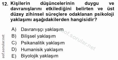 Soru 12