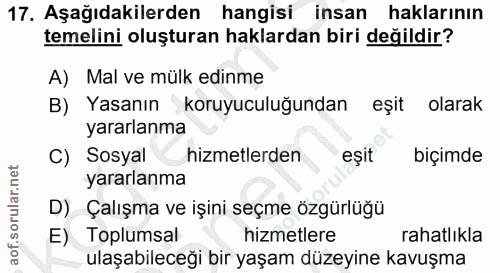 Soru 17