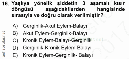 Soru 16