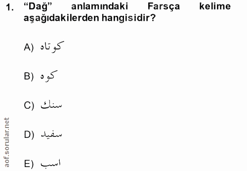 Soru 1