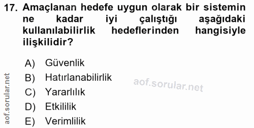 Soru 17