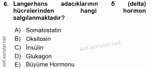 Soru 6