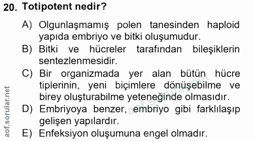Soru 20