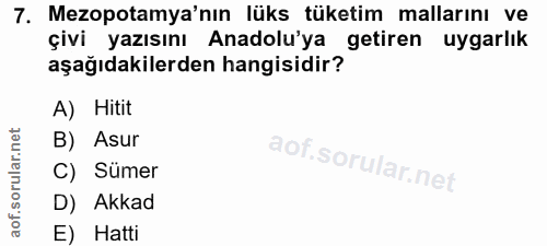 Soru 7