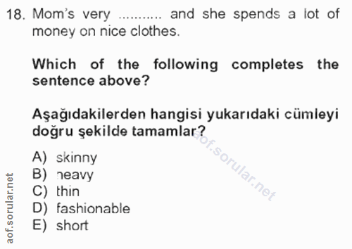 Soru 18